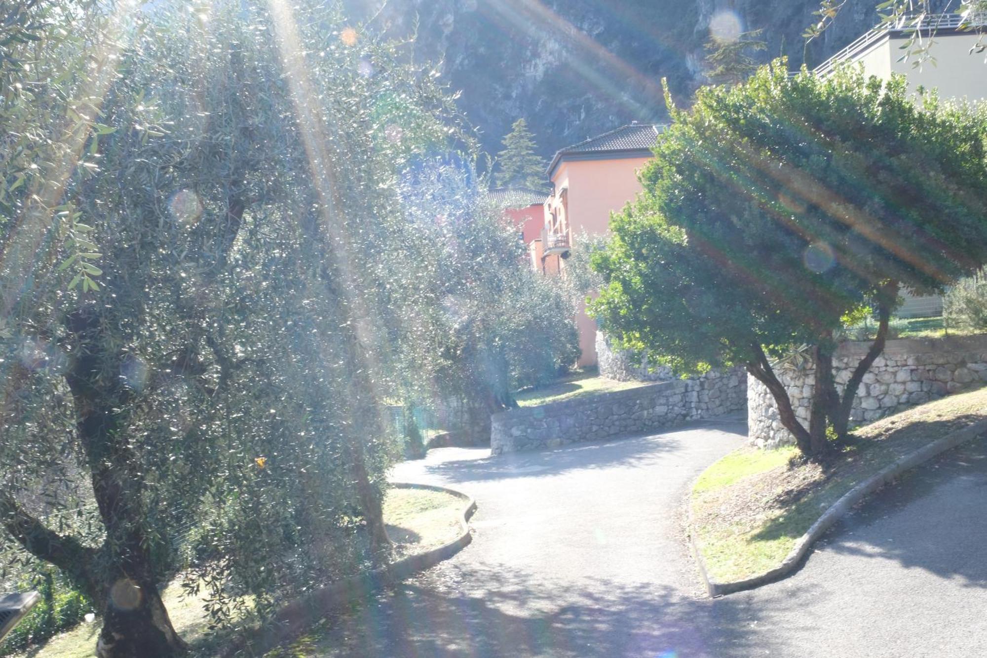 Casa Segantini - Panorama Pool Apartment Gavazzo Nuova Buitenkant foto