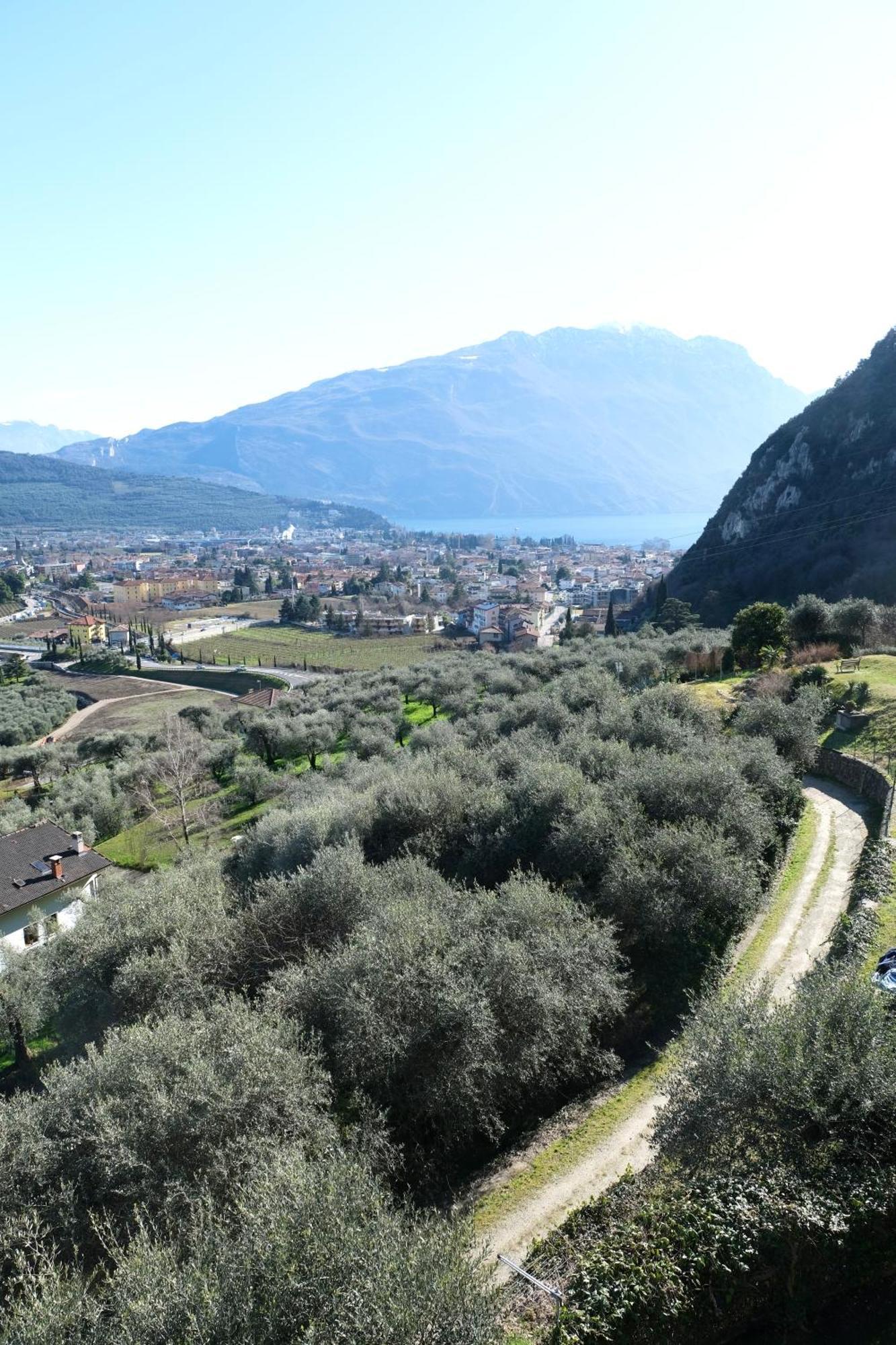 Casa Segantini - Panorama Pool Apartment Gavazzo Nuova Buitenkant foto